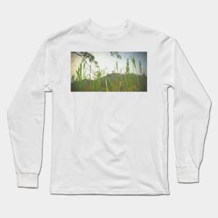 Pampas Grass Long Sleeve T-Shirt